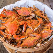 Premium Large Male Maryland Crabs