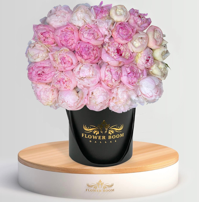 Light Pink Peonies In A Box
