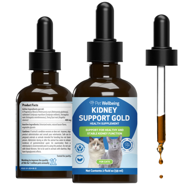 Kidney Support Gold - for Healthy Kidney Function in Cats