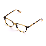Andromeda Eyeglass Frames"