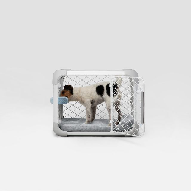 Evolv Crate Training Bundle