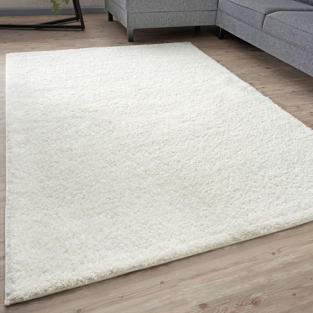 The Rugs Shaggy Rugs Living Room Rug - Soft Fluffy Thick Carpet For Bedrooms and Kitchen Easy To Clean Home Decor Rugs