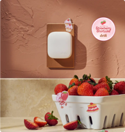 STRAWBERRY SHORTCAKE X DRIFT