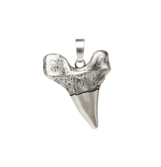 Sharktooth Charm