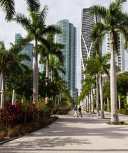 Rodeway Inn South Miami - Coral Gables