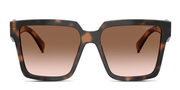 Prada PR24ZS Tortoise