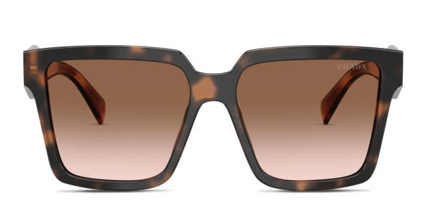 Prada PR24ZS Tortoise
