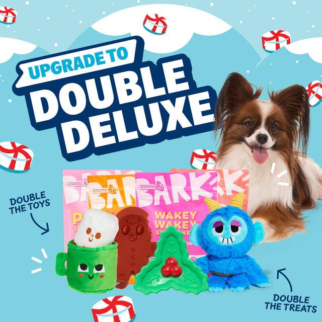 Combo Double Deluxe Upgrade