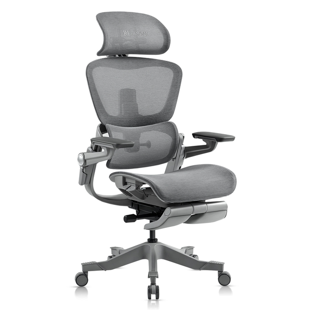 HINOMI H1 Pro Ergonomic Chair with Footrest