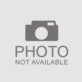 Camaro Convertible Back Glass Window,Tinted, 1967-1969