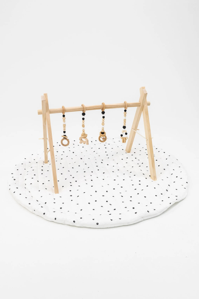 Play Gym Set