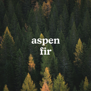 Homedics® SereneScent™ Aspen Fir