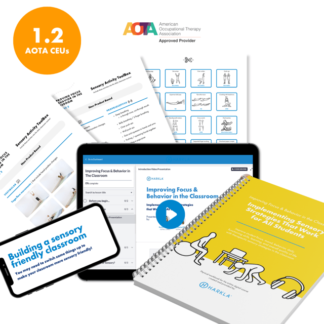 Classroom Sensory Strategies Course & Workbook