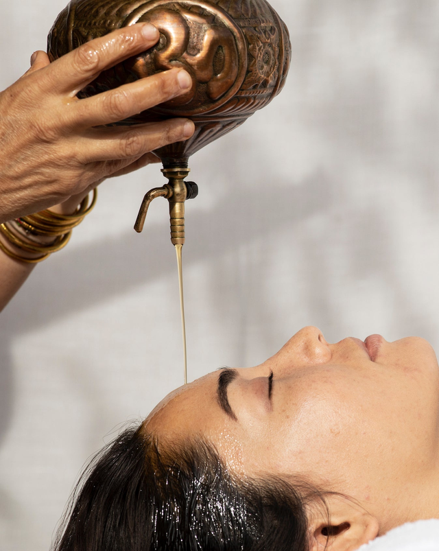 Panchakarma Wellness Series