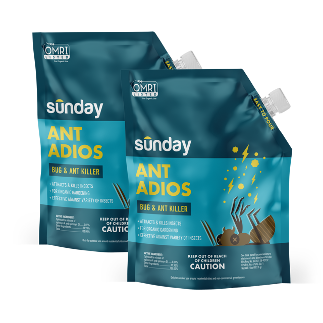 Ant Adios Insect & Ant Killer (2-pack)
