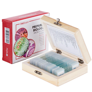 AmScope 25pc Glass Prepared Microscope Slides in Wood Case with Plant, Fungus, Insect and Mammal Specimens