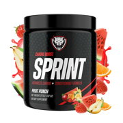 SPRINT (PRE-Run BOOST)