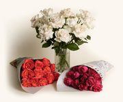 FS Favorites - Roses