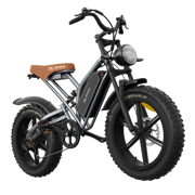 JANSNO X50 Fat Tire Electric Bike for Adults,750W Powerful Motor, 48V 14Ah Removable Battery