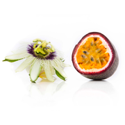 'Frederick' Passion fruit/ Passion Vine