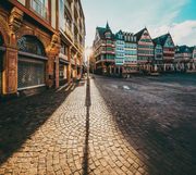 Flight Tampa-Frankfurt