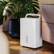 1,000 sq ft - Portable Dehumidifier - 8 pint