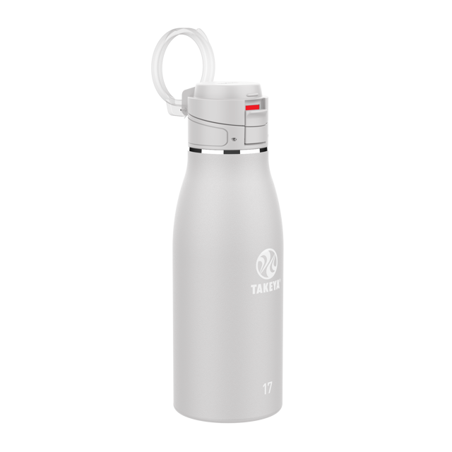 Traveler Leakproof Coffee Mug