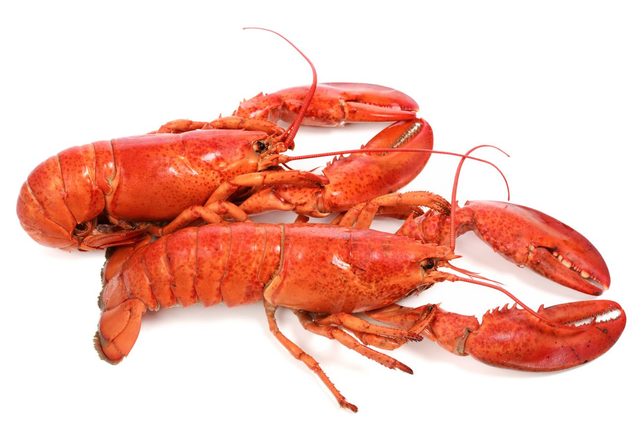 Small Steamed Lobsters