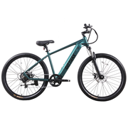 D1RT Electric Mountain Bike