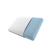 Beautyrest  Absolute Relaxation Pillow