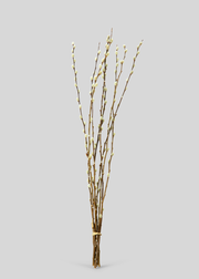 Natural Dried Pussy Willow Branch Bundle - 29.5"