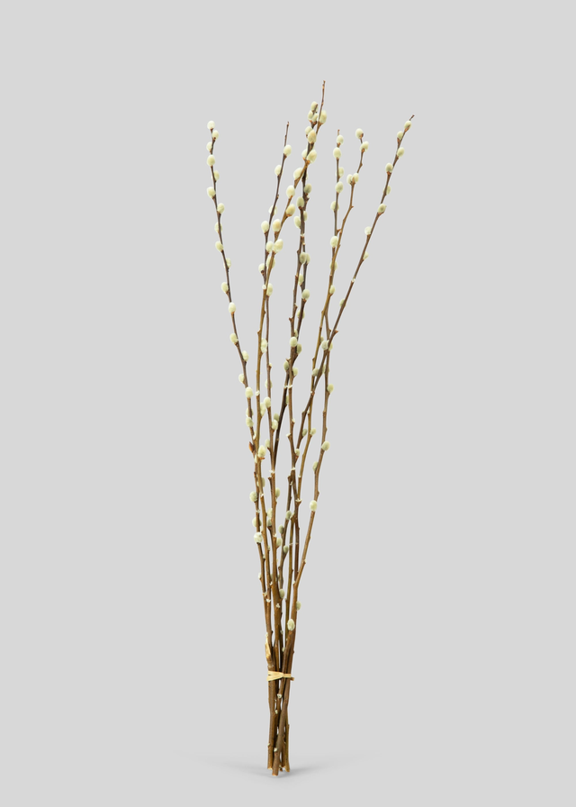 Natural Dried Pussy Willow Branch Bundle - 29.5"