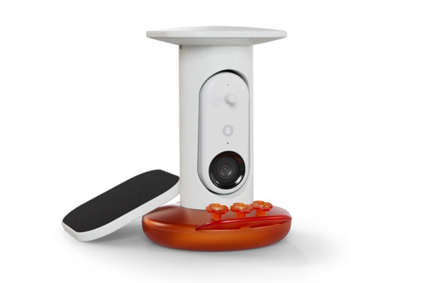 Smart Hummingbird Feeder PRO with Solar Roof