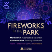 Fireworks in the Park