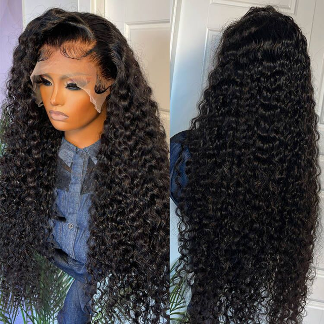 Black Curly Hair 13x4 HD Lace Front Wig 100% Virgin Human Hair Wigs Pre Plucked Hairline-Geeta Hair