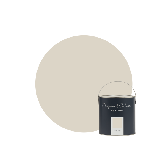 Silver Birch Paint
