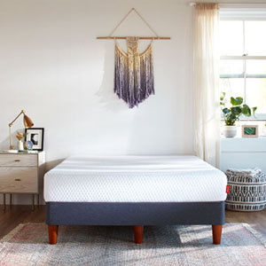 The Essential by Layla - Queen