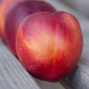 2025 Need My Nectarines | Organic Fruit Club | 3 Shipments
