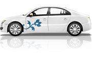 Custom Car Decals