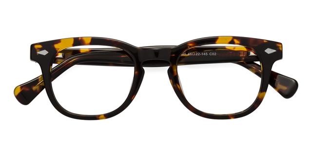 Tortoise Retro-Vintage Keyhole Bridge Acetate Eyeglasses - Tanna
