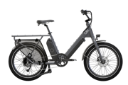 Dubbel Ebike