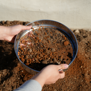 Sifter & Trowel Set
