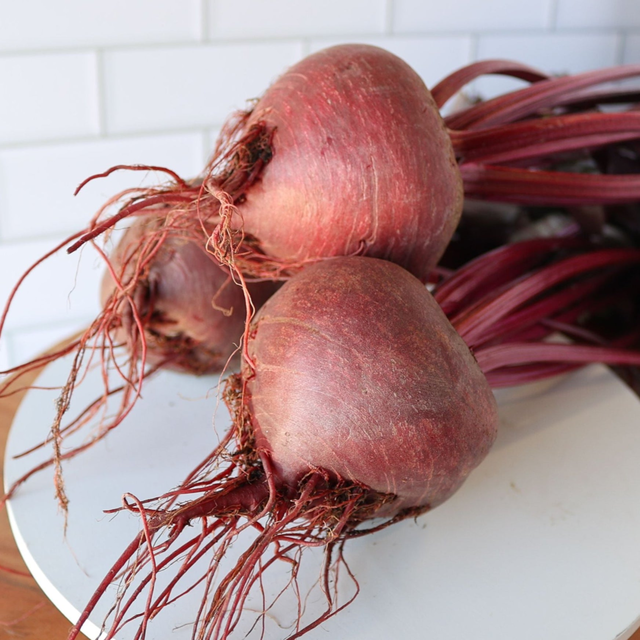 Bull's Blood Beet