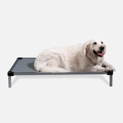 Chew Proof Armored™ Vinyl Dog Bed