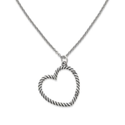 Changeable Heart Charm Holder Necklace