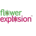 Flower Explosion logo