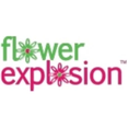 Flower Explosion logo