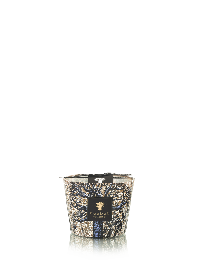 KAARS SACRED TREES SEGUELA