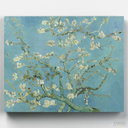 Almond Blossom