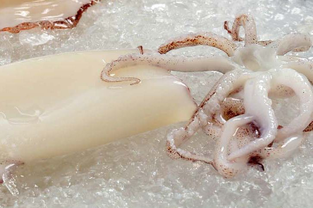 Cleaned Calamari Whole
